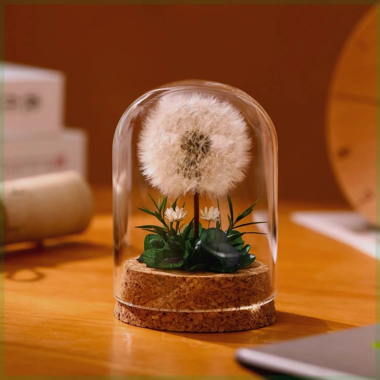 Dandelion-shaped glass night light ornament in a gradient colour with soft internal LED glow.