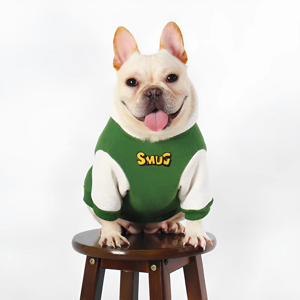 Green cotton dog coat for large breeds in autumn and winter sizes L XL 2XL 3XL 4XL
