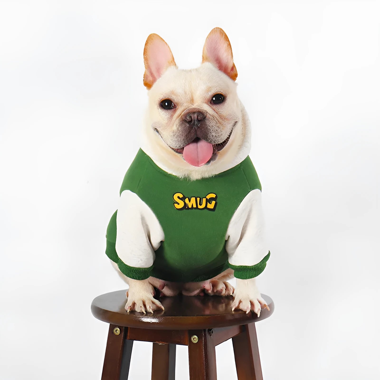 Green cotton dog coat for large breeds in autumn and winter sizes L XL 2XL 3XL 4XL