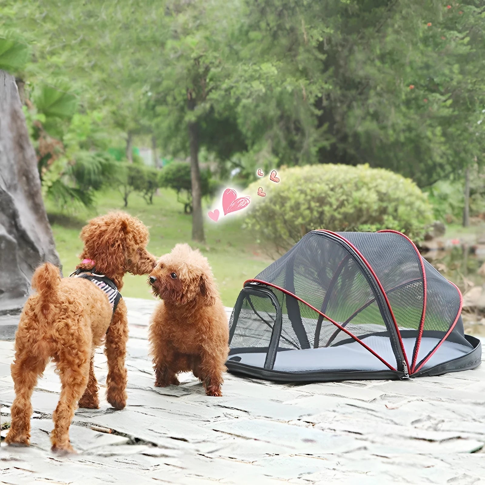 Portable cat folding tent in L code size with half mesh panels shown folded and set up