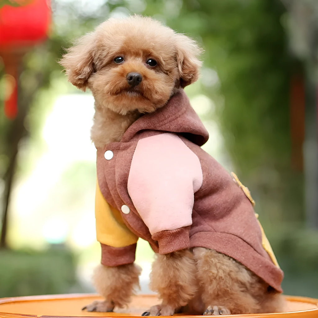 Cotton dog sweatshirt in brown, green or pink colours showing size range XS to 2XL