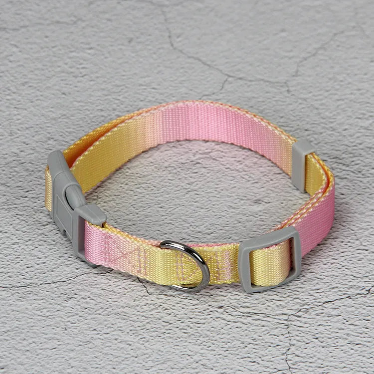 Nylon dog leash and gradient colour collar set in pink and blue, showing S and M size options.