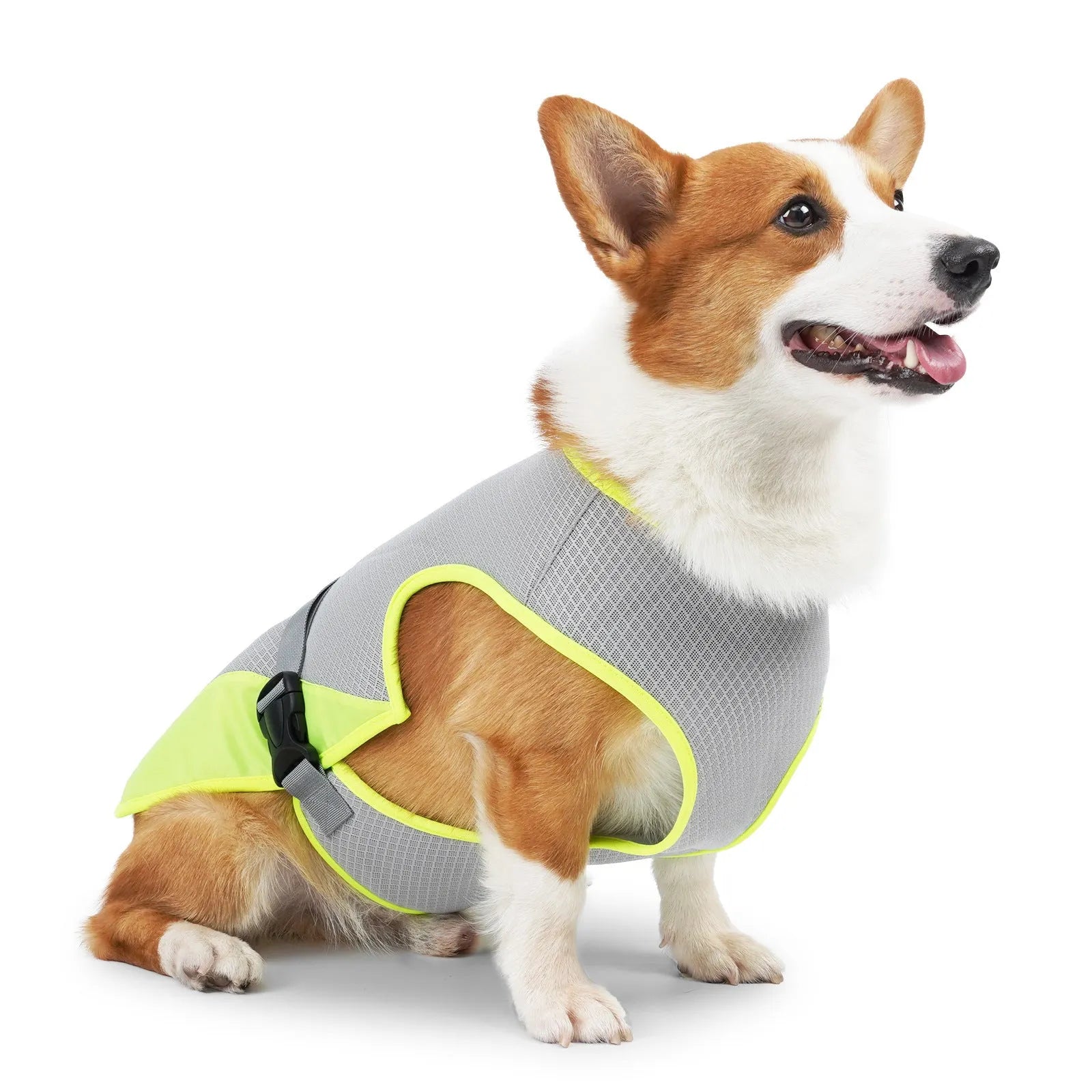 Light grey breathable polyester dog cooling vest for heatstroke prevention on a medium-sized dog.