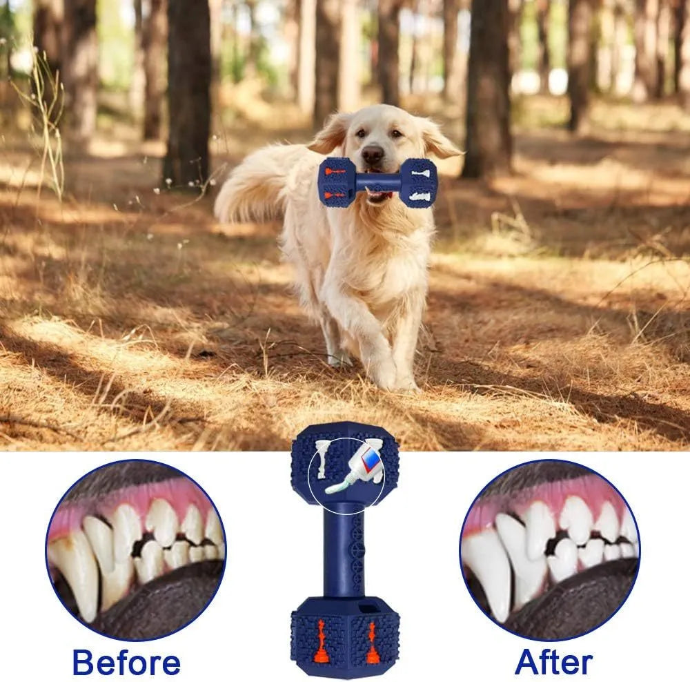 Blue rubber dog chew toy shaped like a dumbbell with a textured surface.