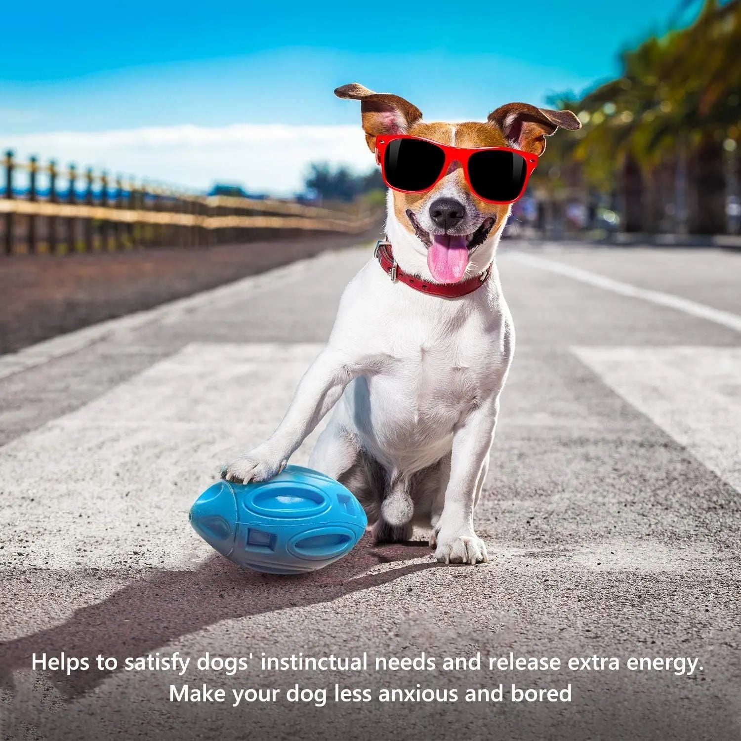 Blue, green, and orange rubber squeaky dog chew ball with grooved surface for medium and large breeds.