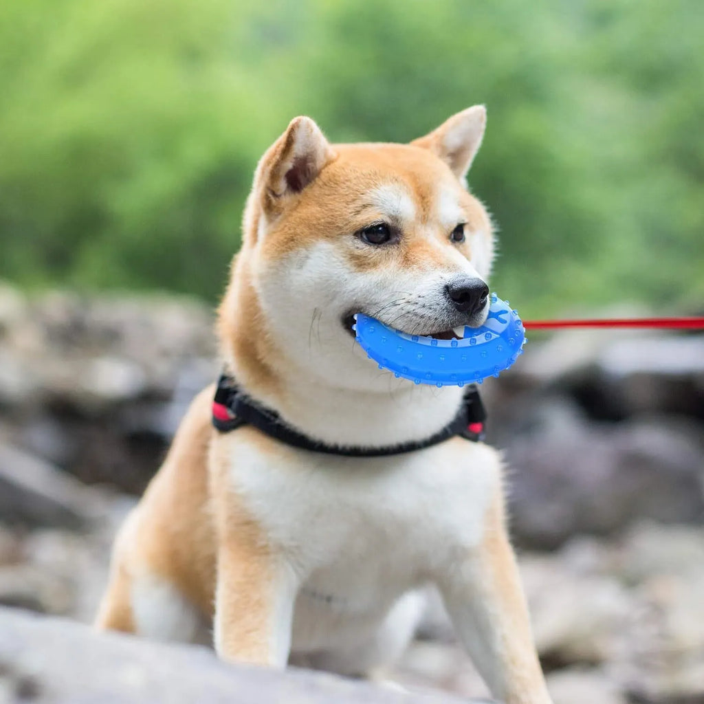 Freezable blue dog chew toy for teething puppies and cooling relief.