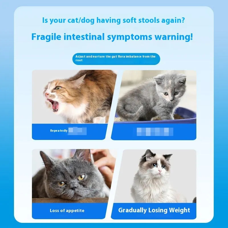 Bottle of 180 active probiotic tablets for dog and cat digestive health care.