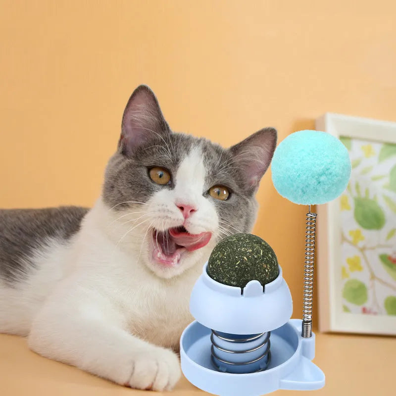 Lucky Cat mint ball grooming toy for cats in blue, orange or pink colours