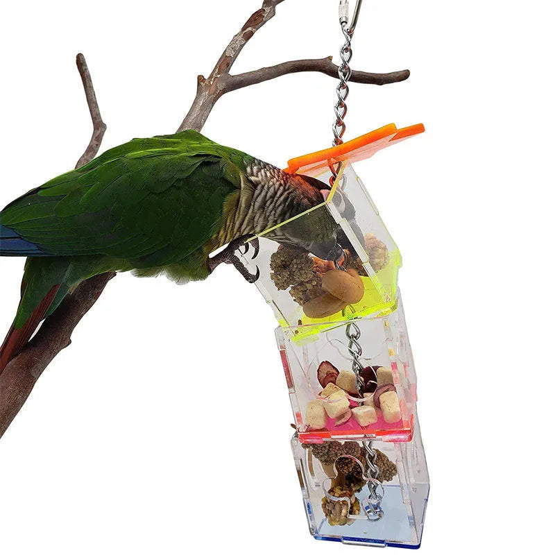 Clear acrylic bird foraging toy for parrots measuring 32 cm long