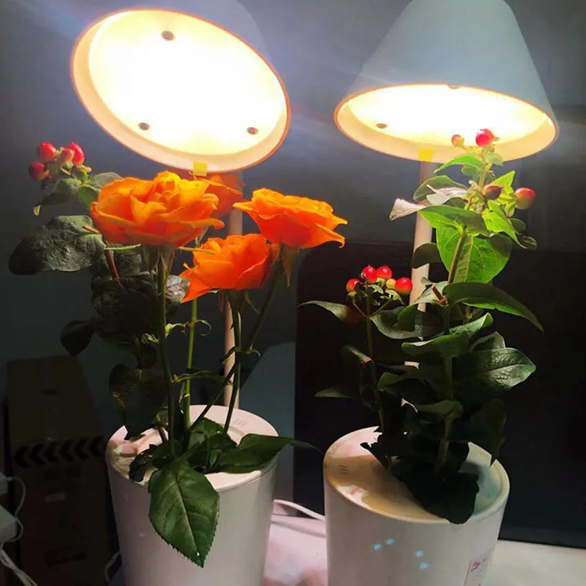 White plastic desktop hydroponic growing system for soilless plant cultivation.