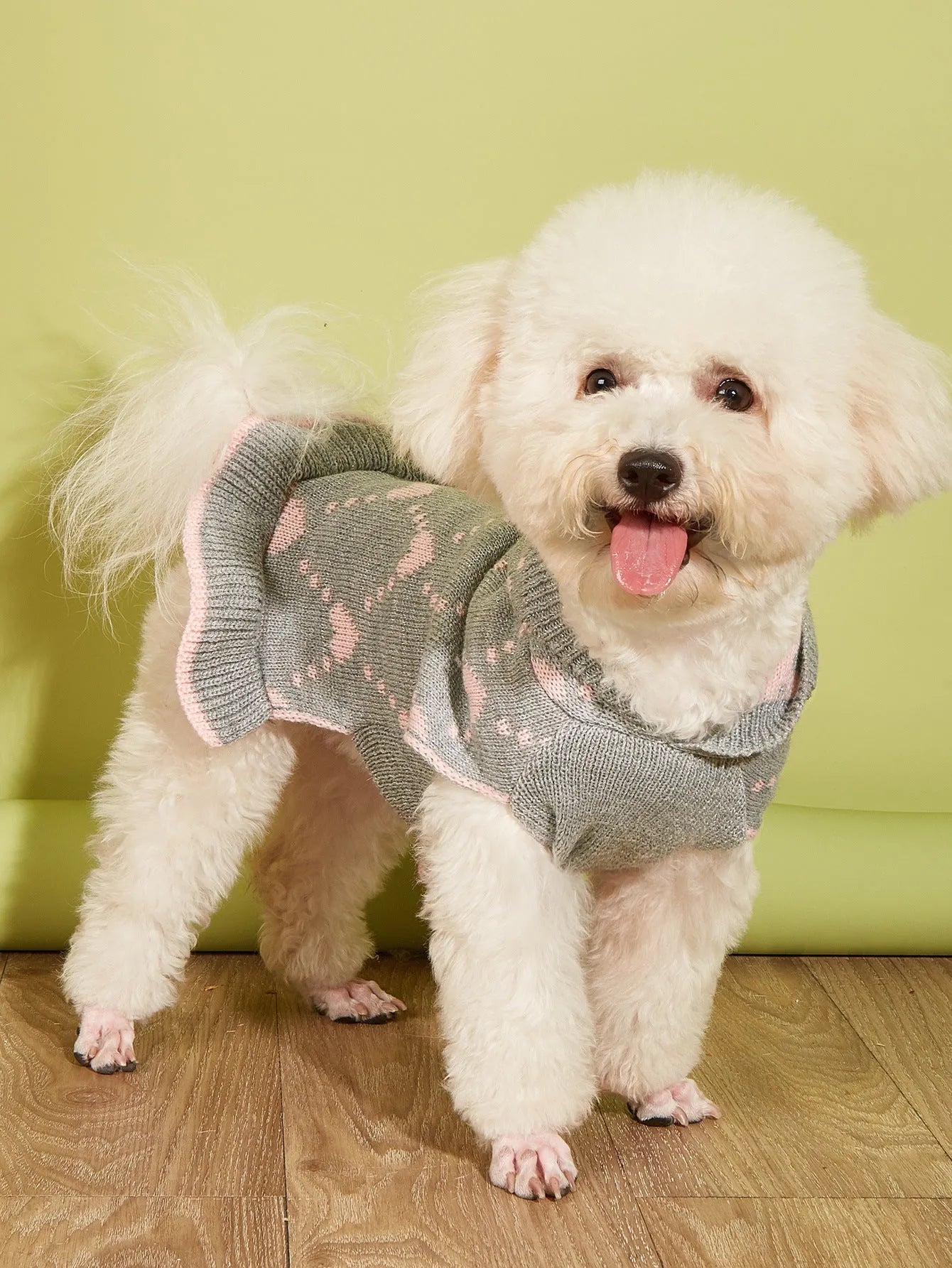 Small dog wearing blue knit sweater hoodie dress with heart motif on front