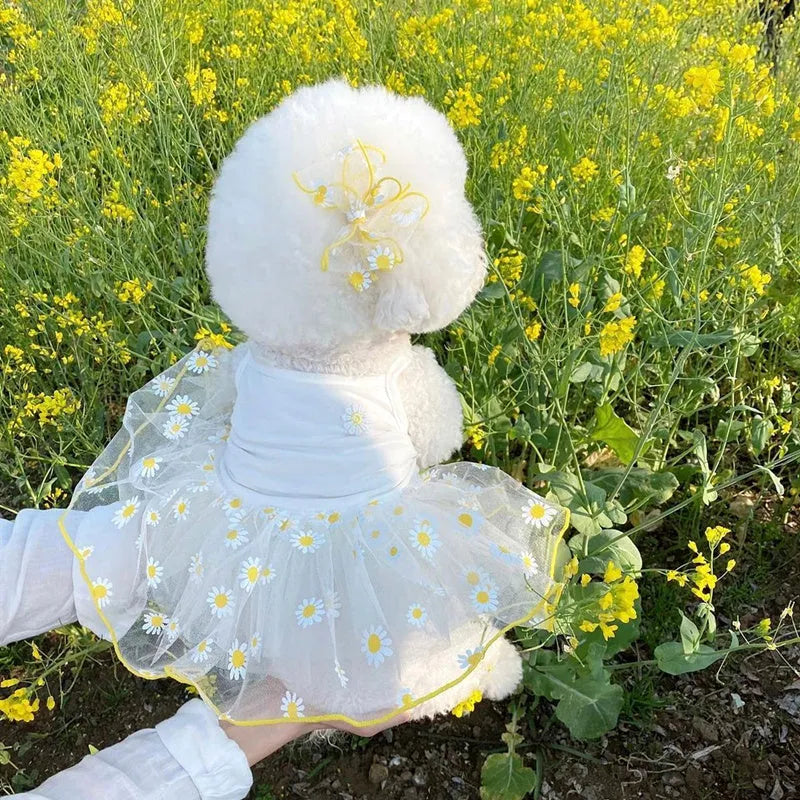 Yellow little daisy pattern thin polyester dog clothes for summer wear in XS S M L XL sizes