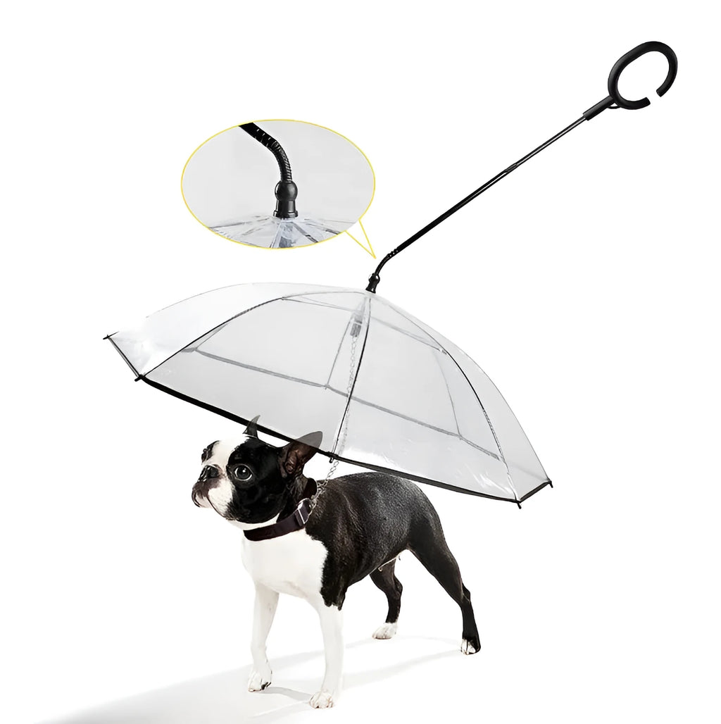 White transparent pet C type umbrella with adjustable steering and C-shaped handle