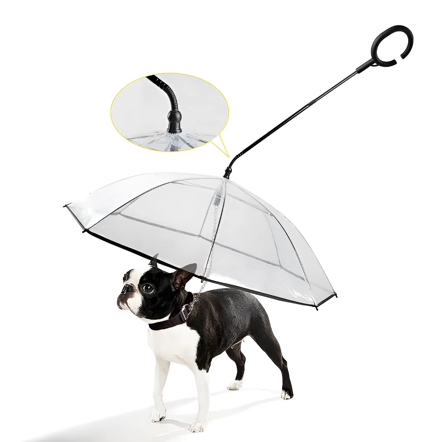 White transparent pet C type umbrella with adjustable steering and C-shaped handle