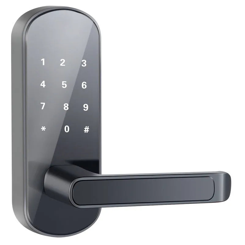 Smart Bluetooth fingerprint lock in black or silver finish for door installation with biometric access control