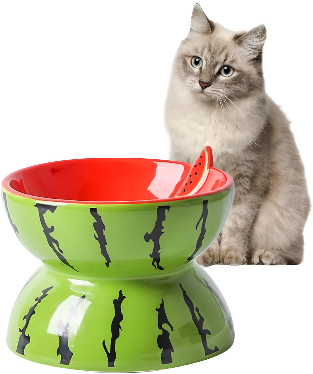 Ceramic raised cat bowl with tilted surface and anti-slip base in orange, pitaya, or watermelon pattern