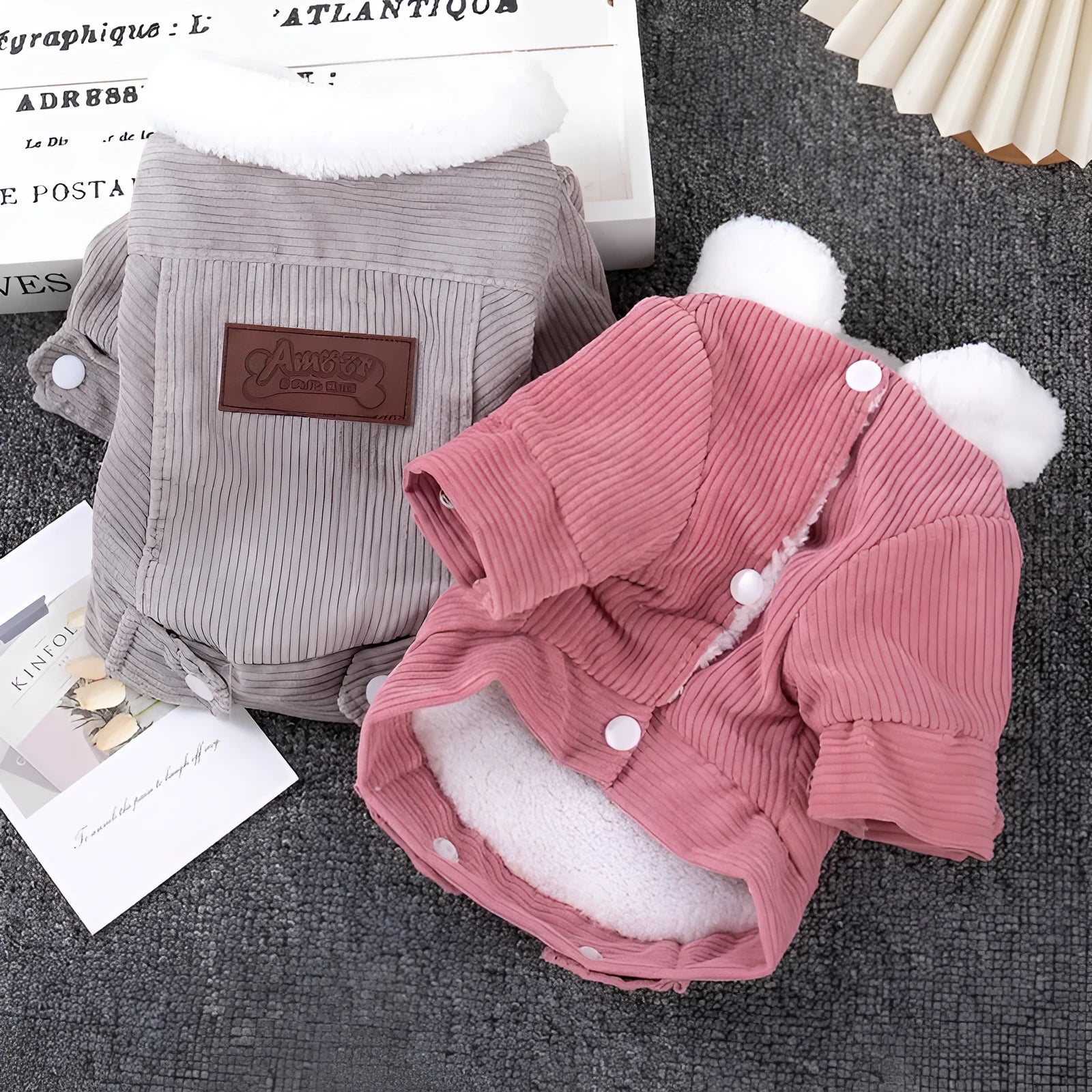 Dog wearing fleece-lined lambswool vest in grey colour with wool lining visible