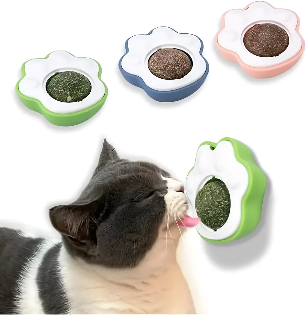 Coloured catnip balls with textured edible vine surface for feline dental cleaning and interactive play