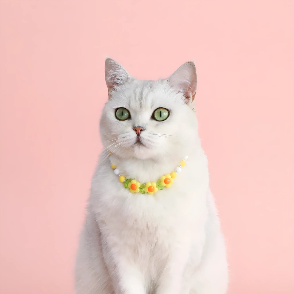 Colourful plastic bead pet necklace for dogs and cats with adjustable sizing options