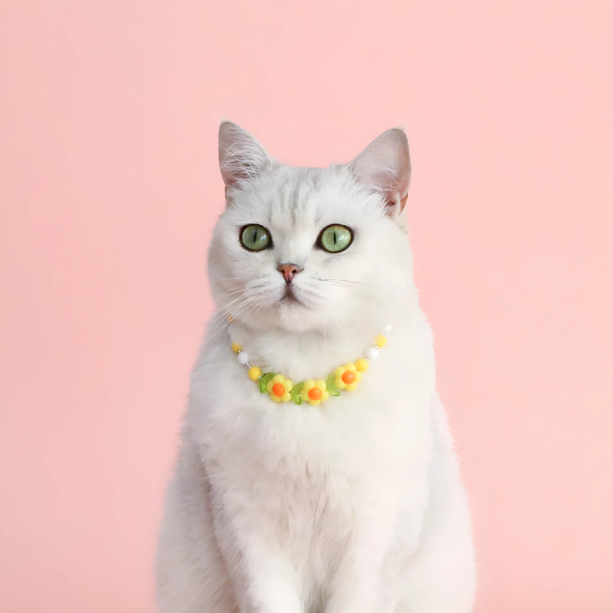Colourful plastic bead pet necklace for dogs and cats with adjustable sizing options