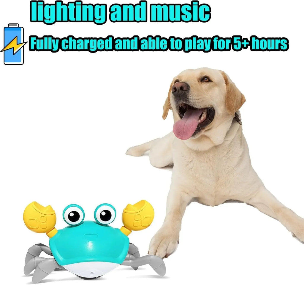 Blue or red electronic crawling crab dog toy with lights, shown next to a charging cable