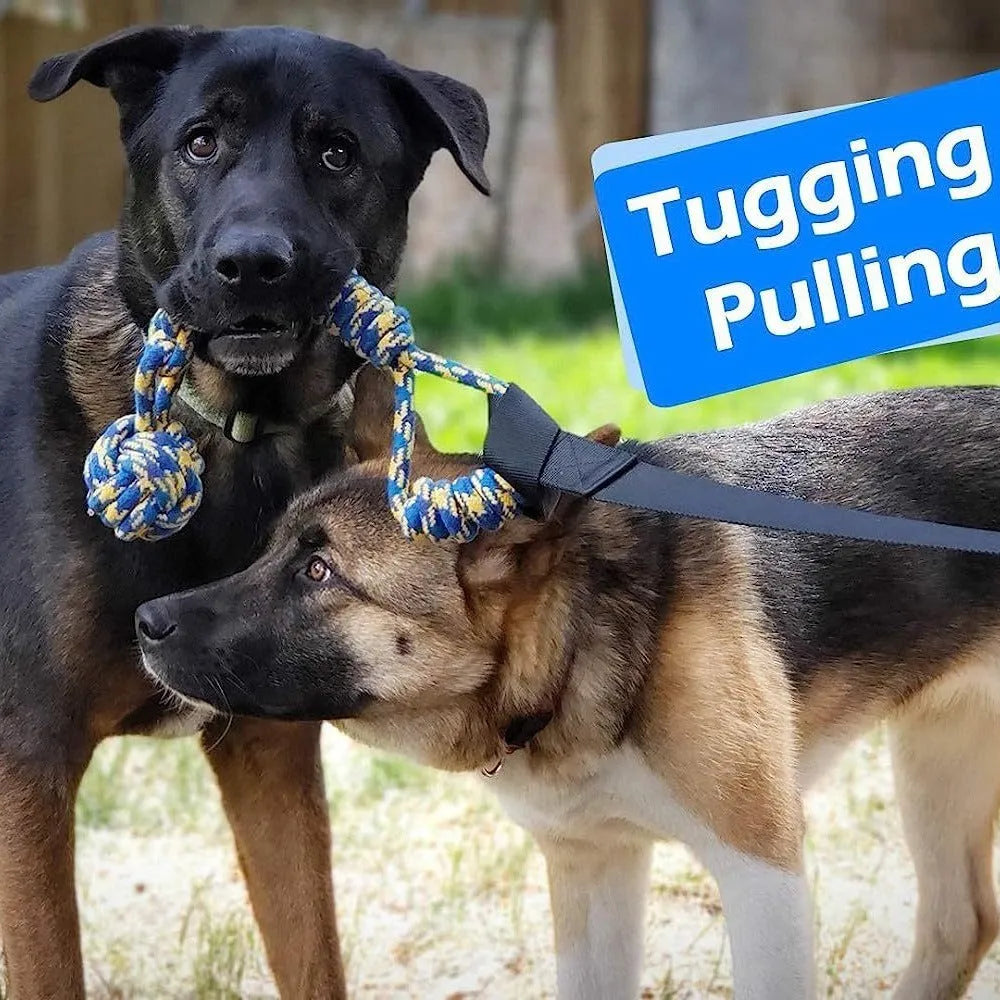 Green cotton rope dog tug toy with ball topper for tug of war games