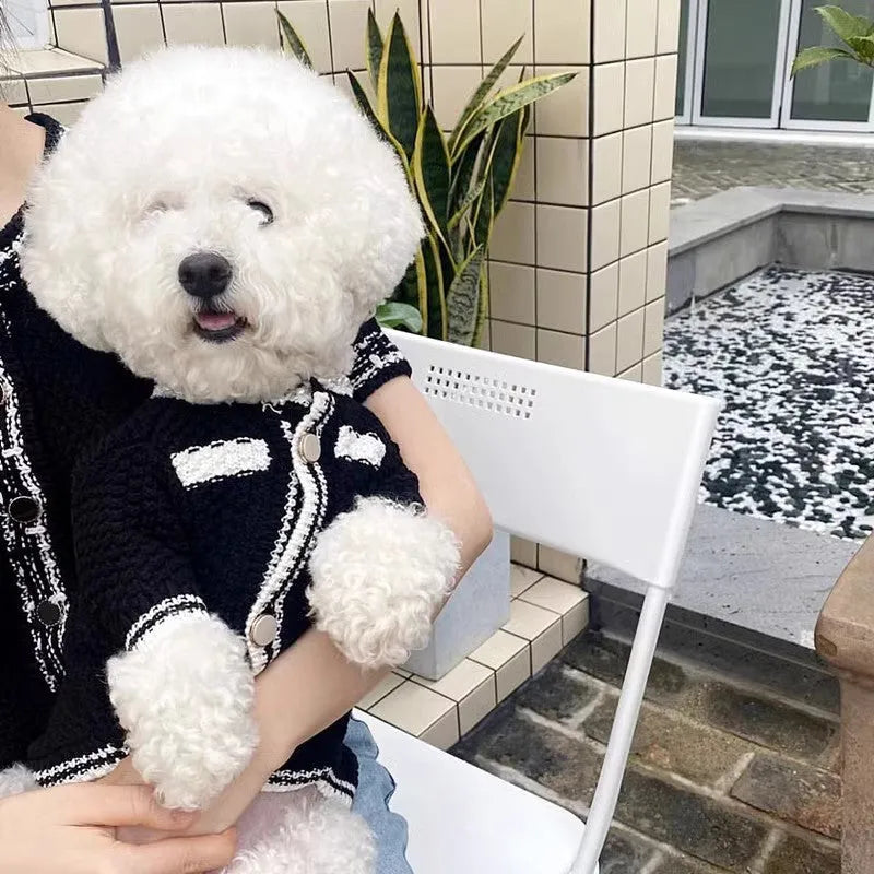 Korean style puppy sweater with pearl collar in classic black and white colours for small dogs
