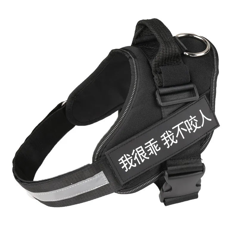 Purple adjustable nylon dog chest harness with leash on a white background