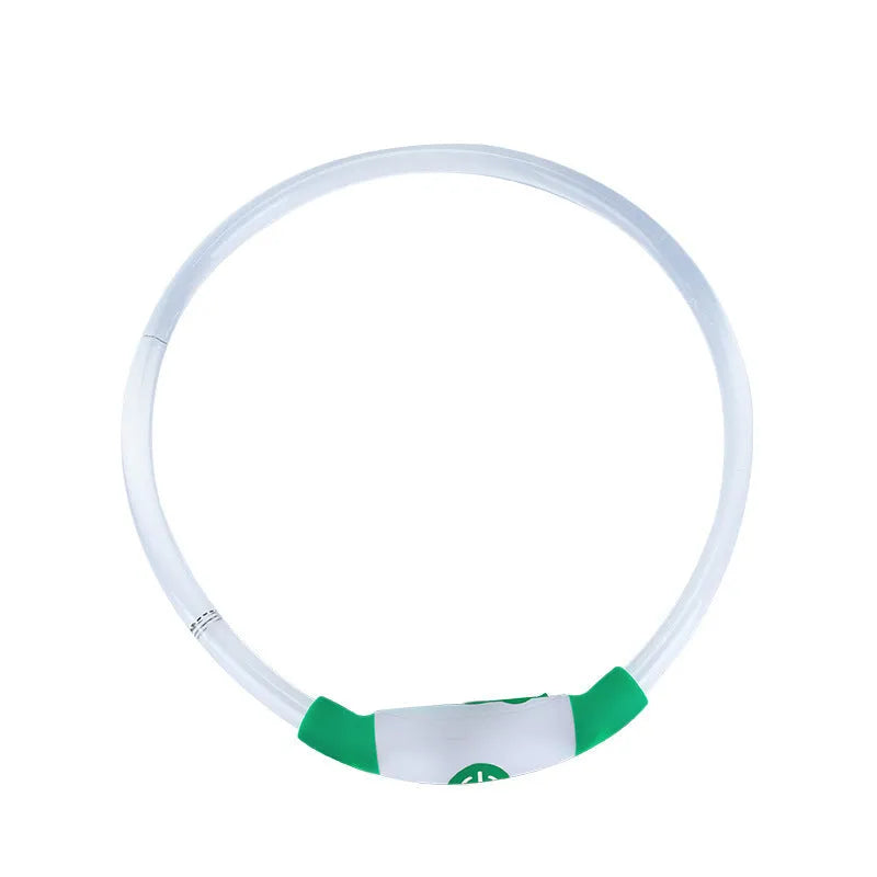 Blue USB rechargeable LED dog collar glowing on a dog's neck at night