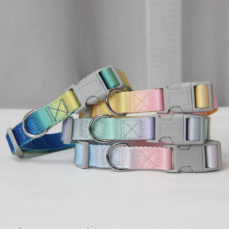 Nylon dog leash and gradient colour collar set in pink and blue, showing S and M size options.