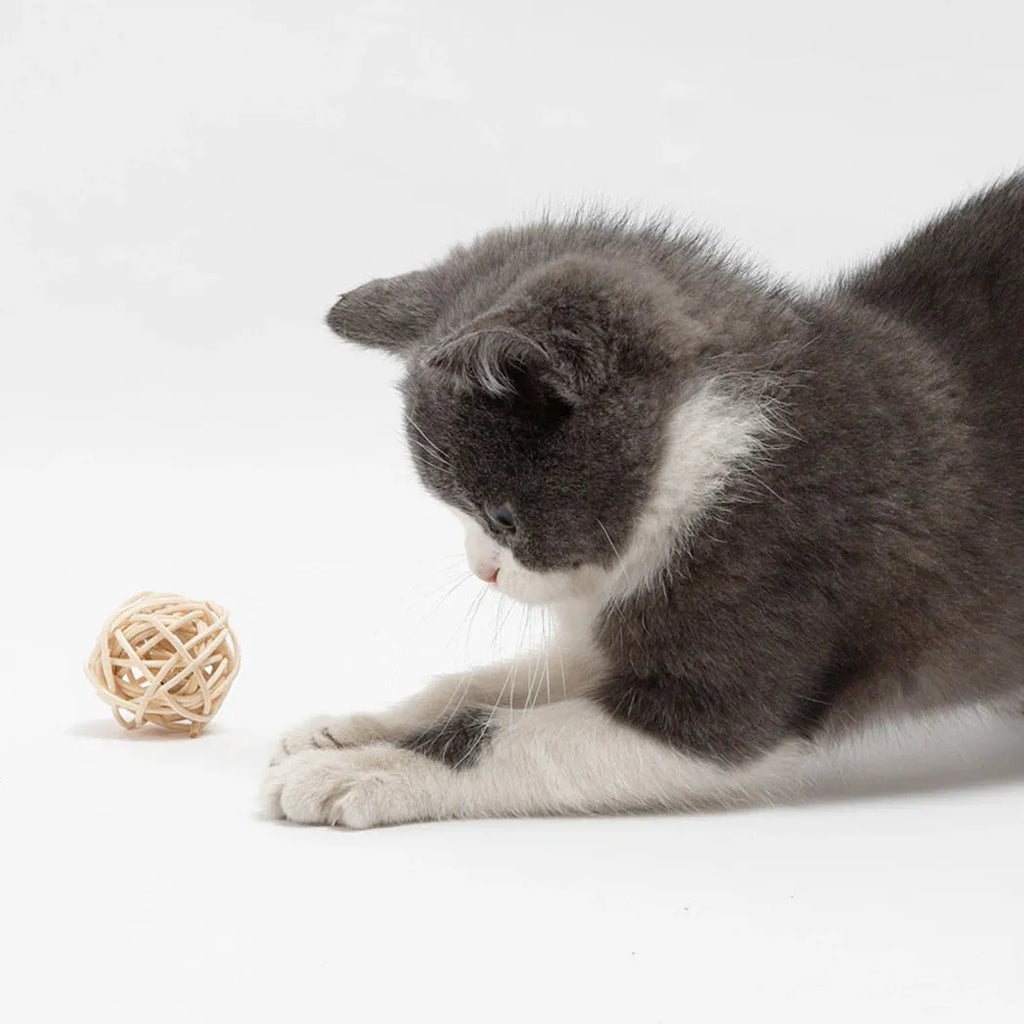 Cat toy set showing rattan ball with bell and faux feather ball for interactive pet play