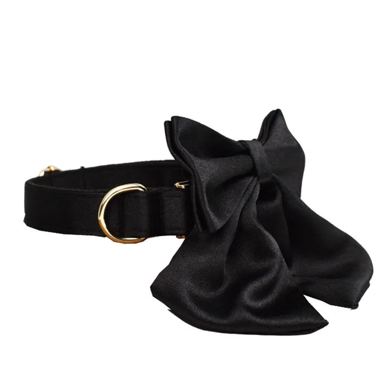 Complete dog walking set showing a cloth collar, matching leash, lightweight vest, and decorative bow for pets.