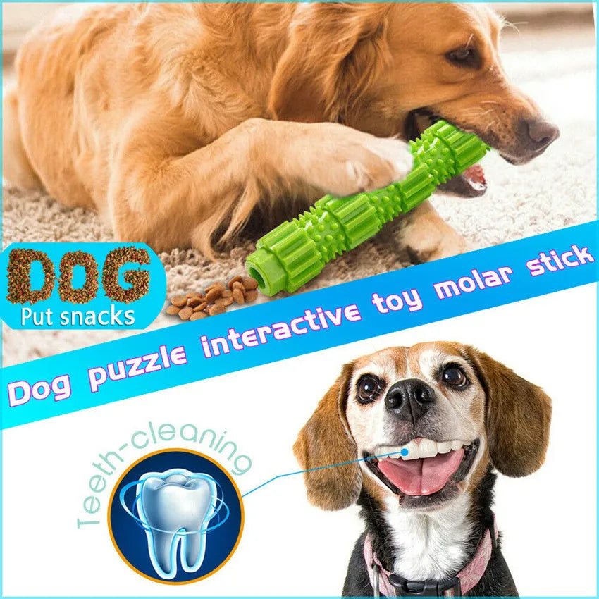 Green and orange rubber dog chew toy with hollow centre for treat dispensing