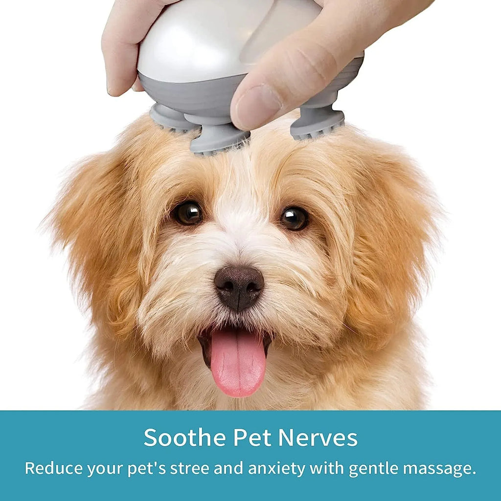 Blue handheld electric pet massager with four rotating heads for cats and dogs on a grey background.