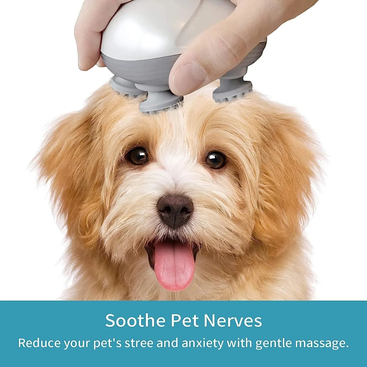 Blue handheld electric pet massager with four rotating heads for cats and dogs on a grey background.