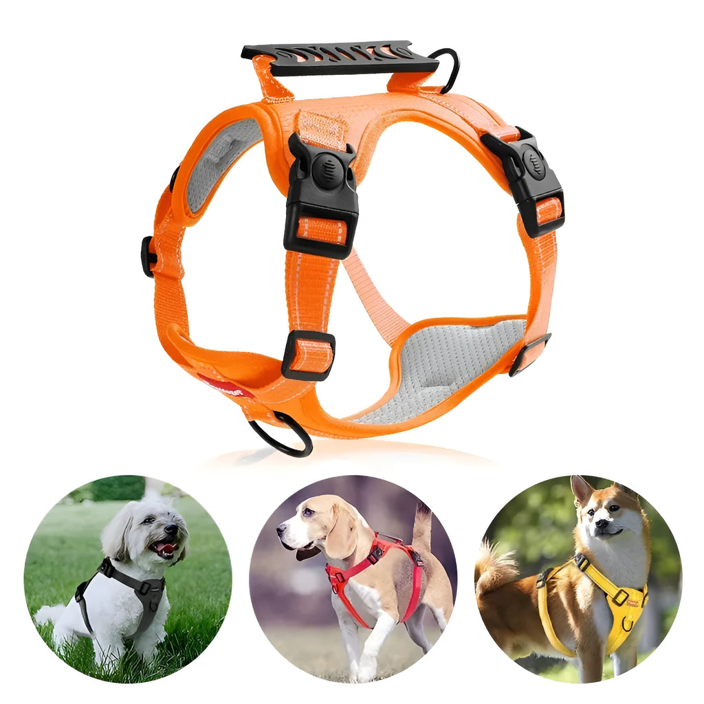 Polyester dog chest harness traction rope in multiple colours with size options