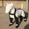 Black waterproof dog shoes with non-slip soles and an adjustable strap closure.