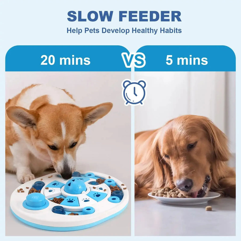 Blue dog puzzle toy with 24 food compartments and spherical bells on a flat surface