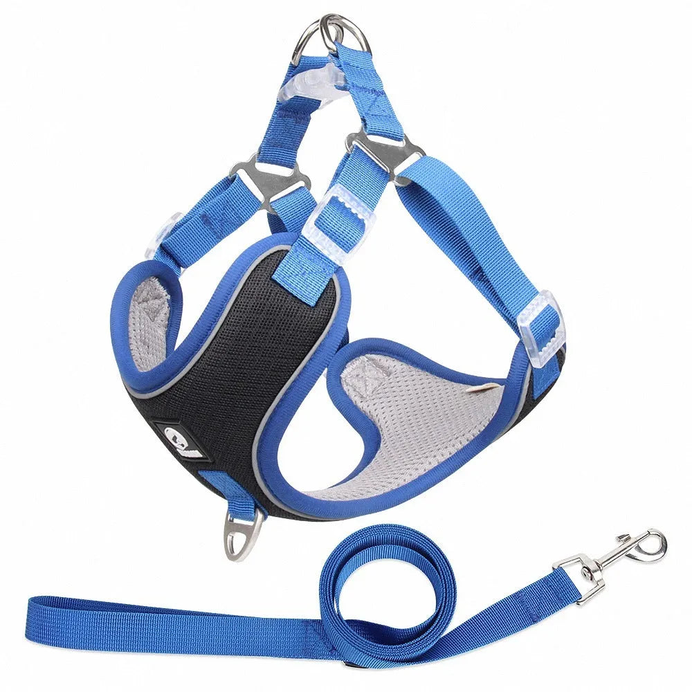 Adjustable breathable mesh dog harness with reflective piping in four colour options