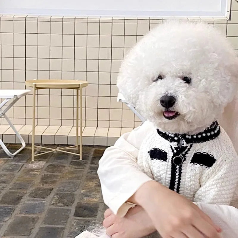 Korean style puppy sweater with pearl collar in classic black and white colours for small dogs
