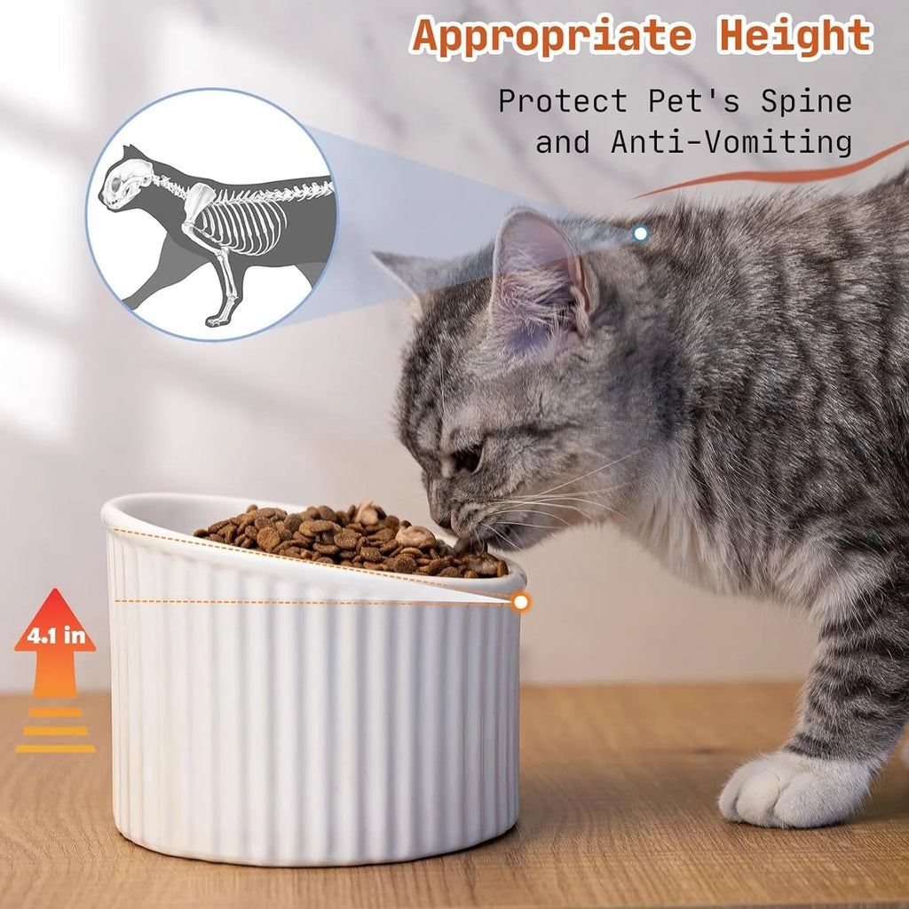 Dark green elevated ceramic cat bowl on a wooden floor, showing its raised height and round, whisker-friendly shape.