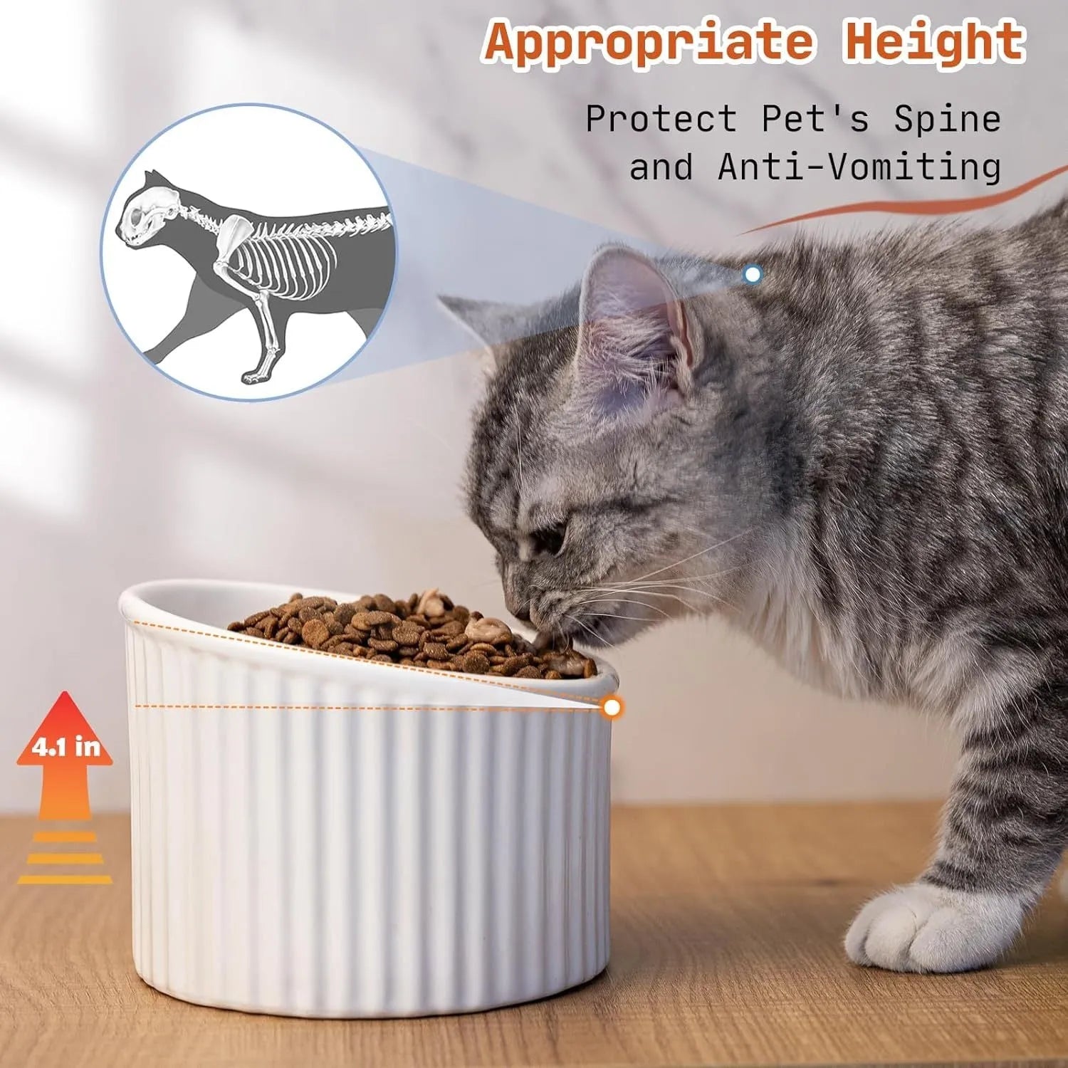 Dark green elevated ceramic cat bowl on a wooden floor, showing its raised height and round, whisker-friendly shape.