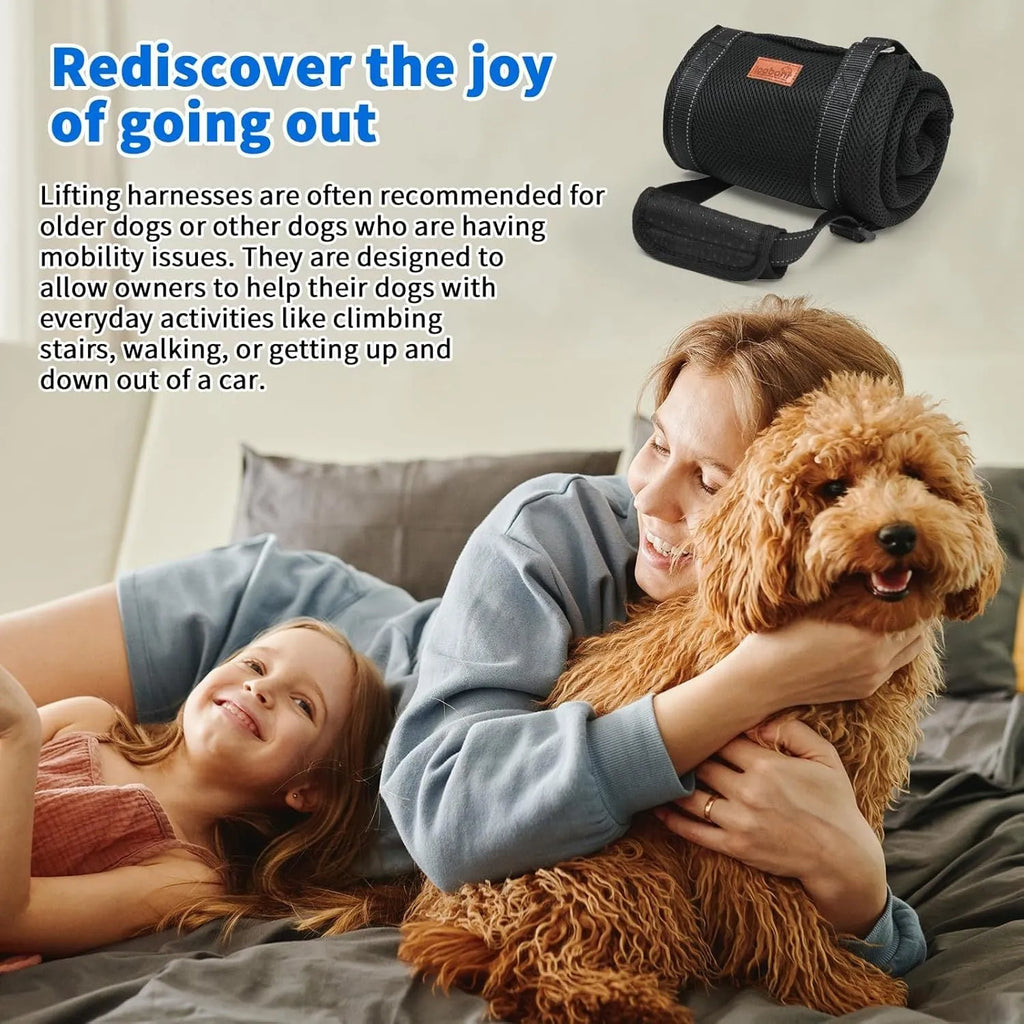Portable dog sling supporting hind legs, with adjustable reflective straps and soft lining.