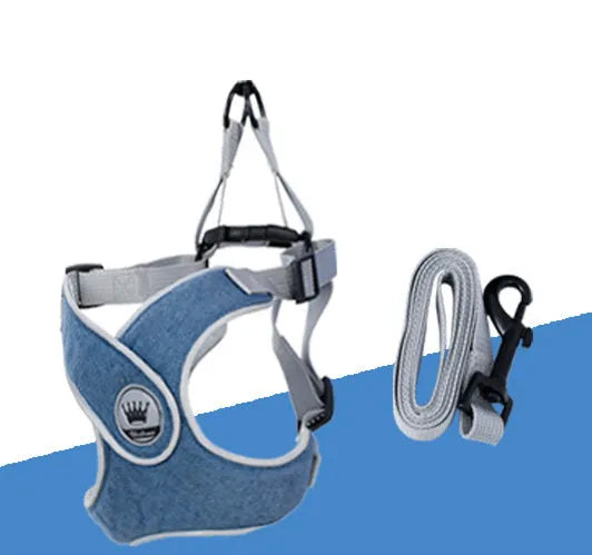 Adjustable dog and cat harness with breathable mesh material in blue colour with matching leash