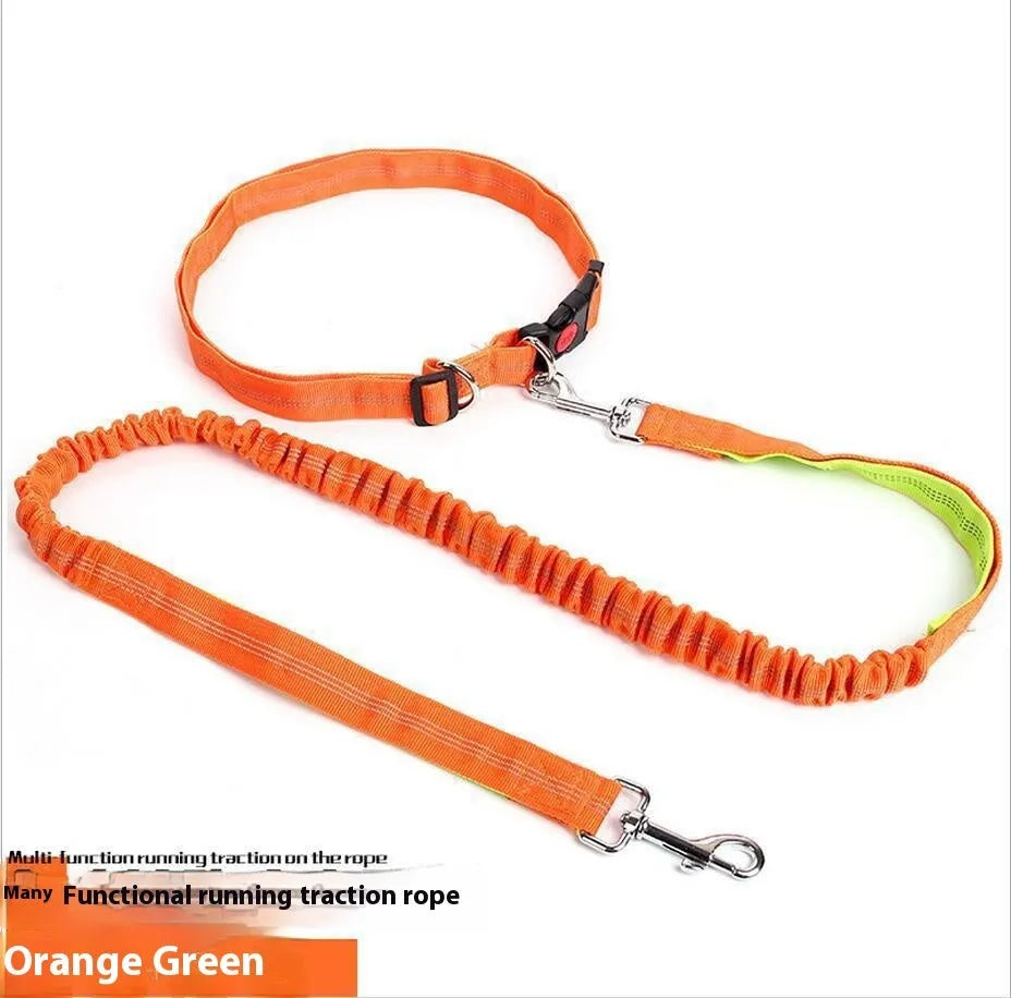Grey and blue elastic dog leash with reflective sling for outdoor running.