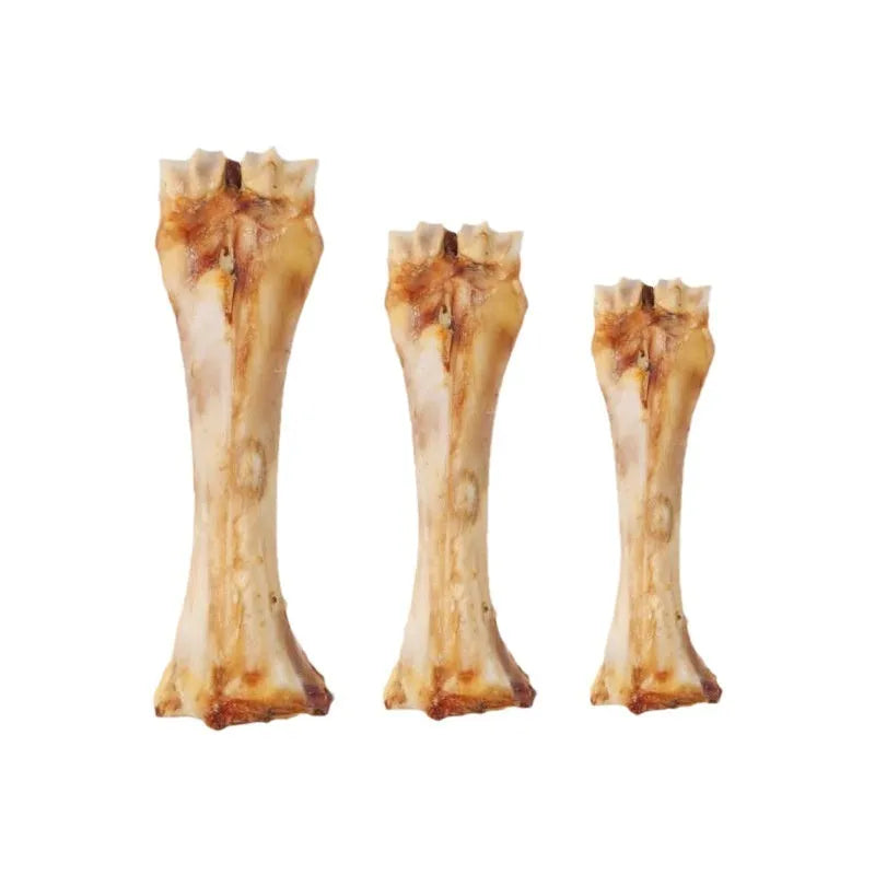 Pet molar rod chew toy for puppies in three sizes with high calcium roasted ox bone flavour