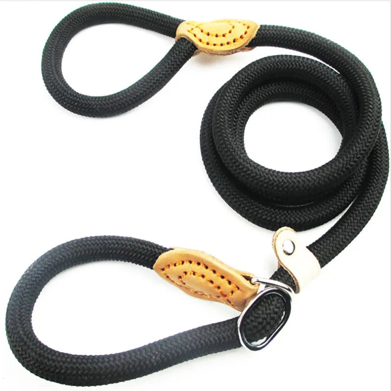 Brown nylon dog leash with P chain handle, showing 2.1 metre length.