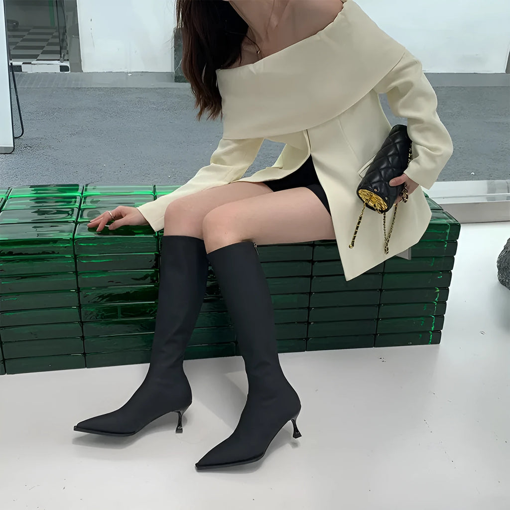 Black pointed toe below knee stiletto heel boots with a back zipper on a woman's leg.
