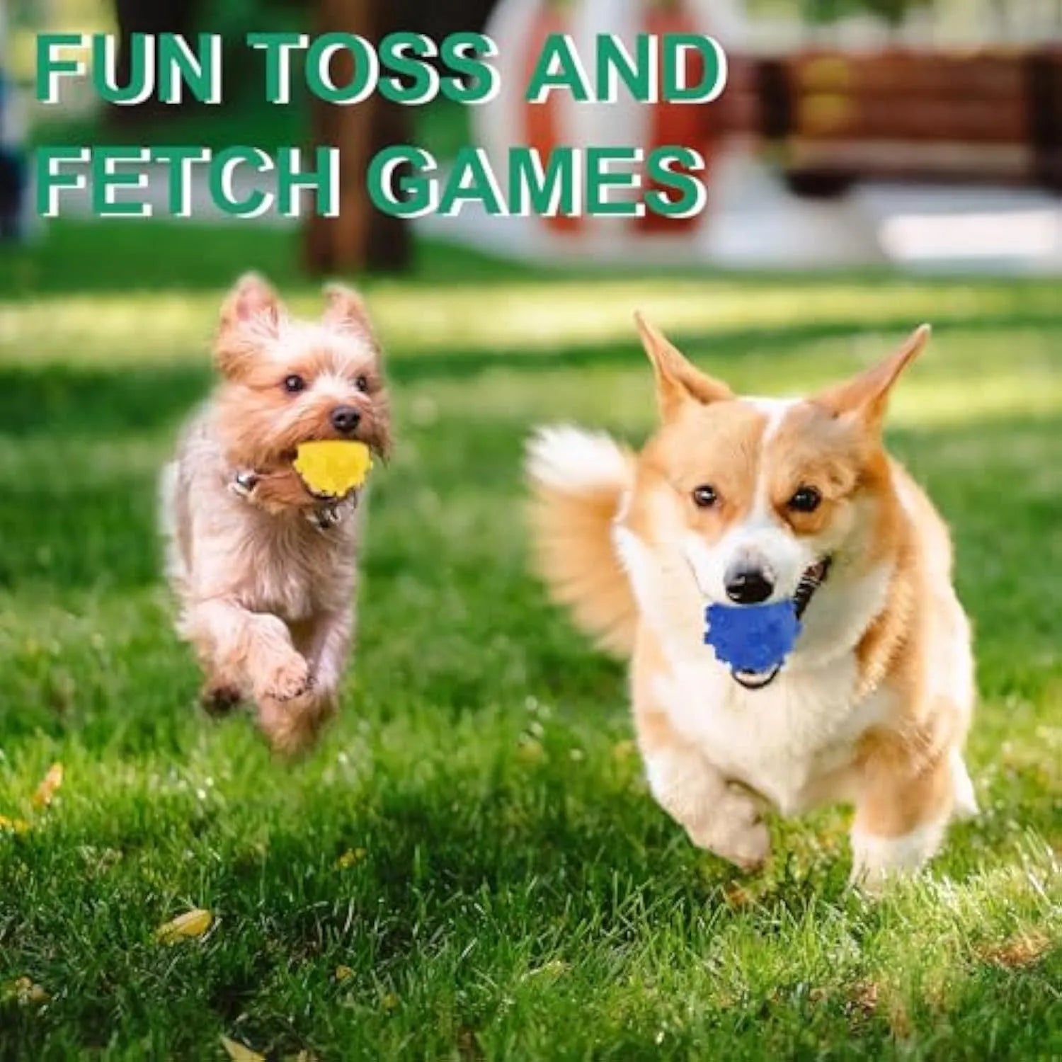 Bright blue, green, pink, and yellow spiked dog toy balls with paw print dimples on a white background.