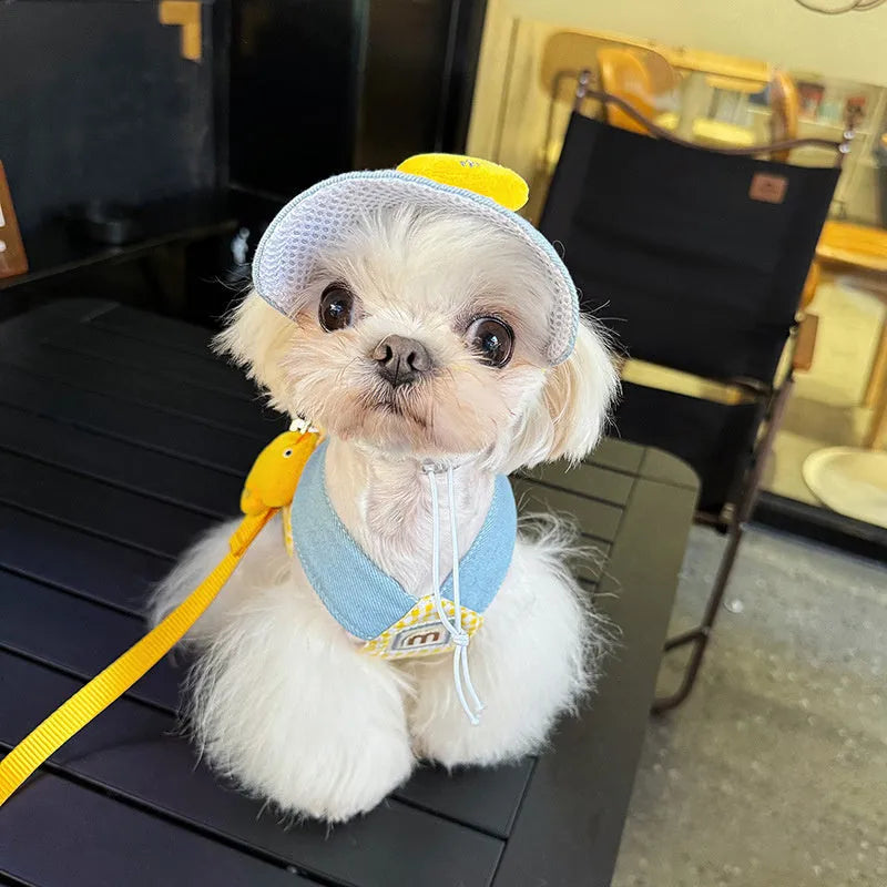 Three-piece pet harness and leash set with wire rope pulling and cute hat for cats and small dogs